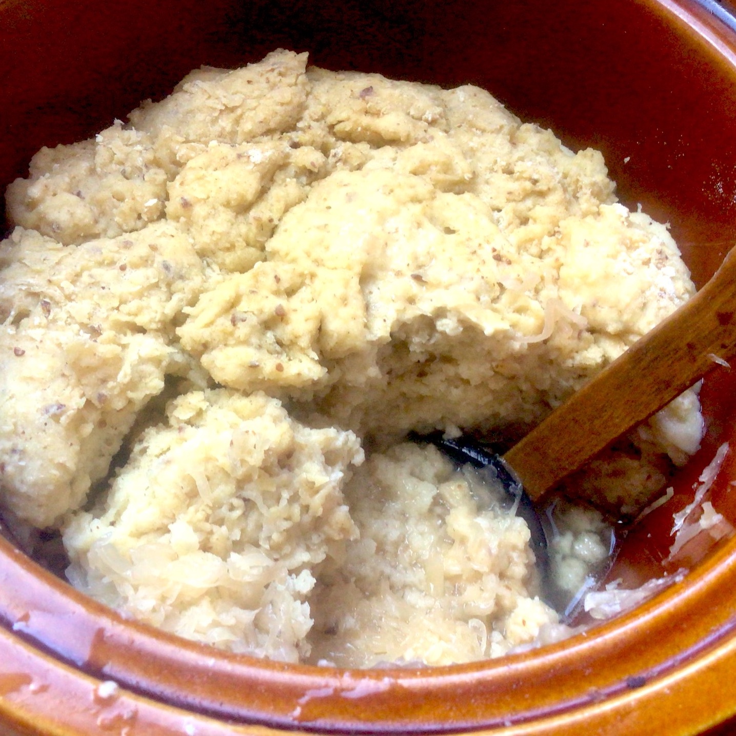 Bohemian Dumplings